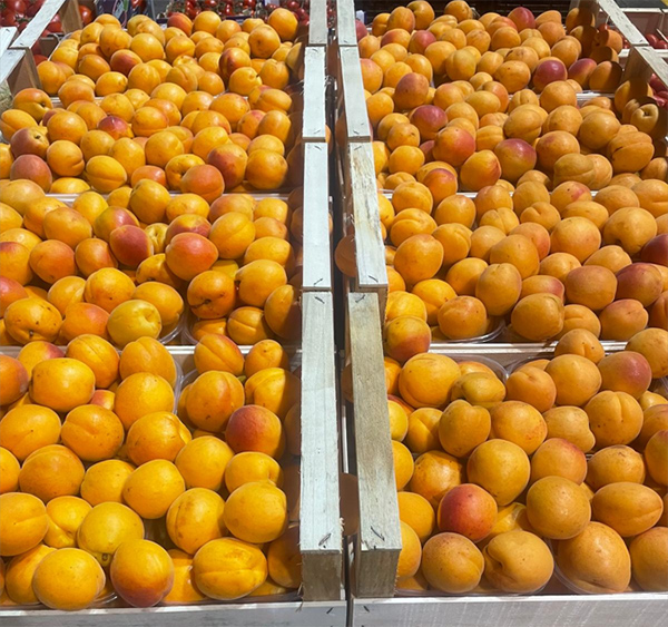 Albicocche - Piemonte - 1,50/1,80 euro al chilogrammo